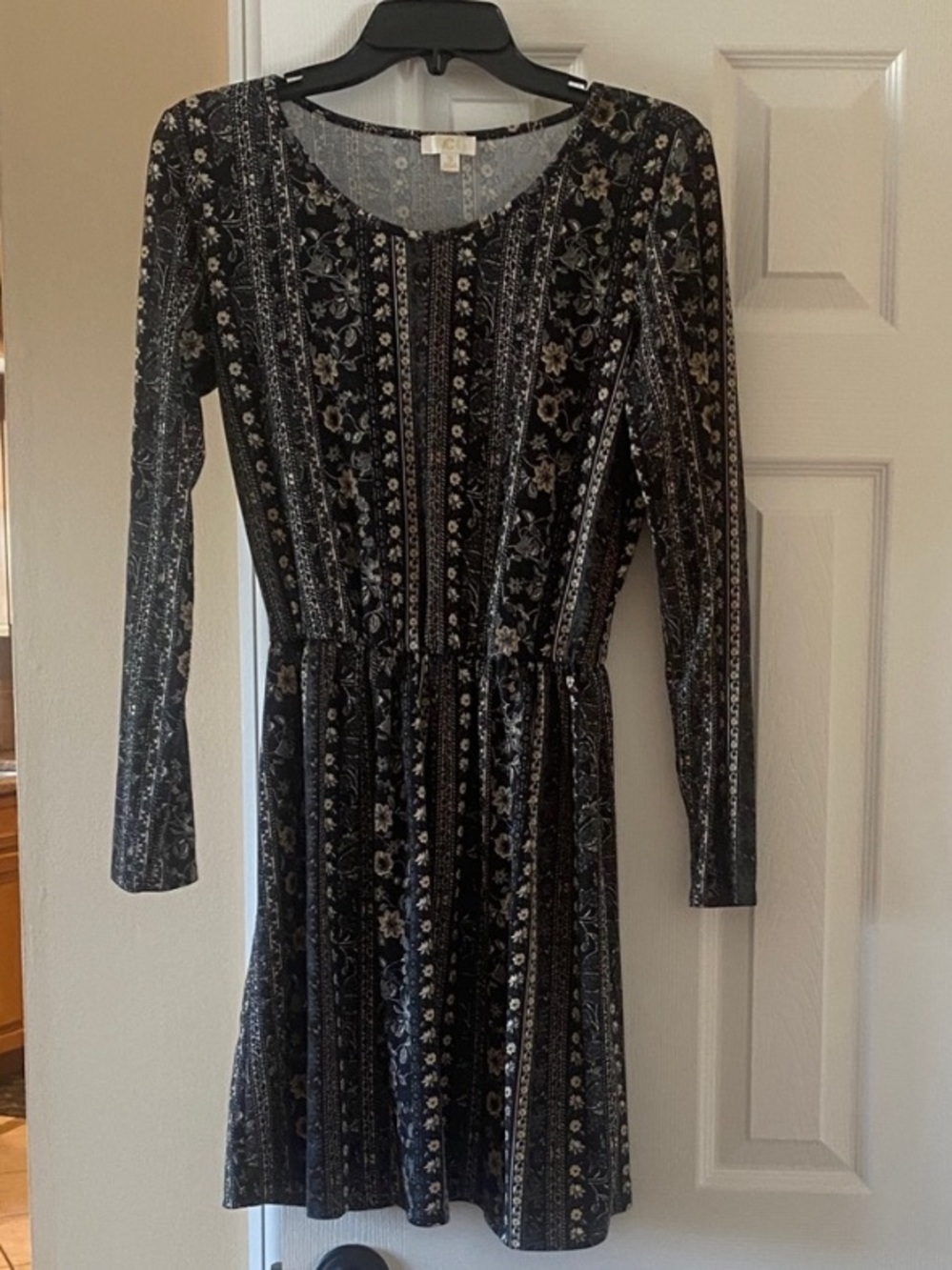 Charming Charlie Floral Striped Dress